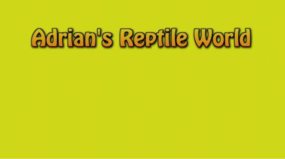 Adrian’s Reptile World – Season 1 Episode 12